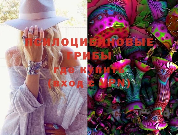 дмт Мегион